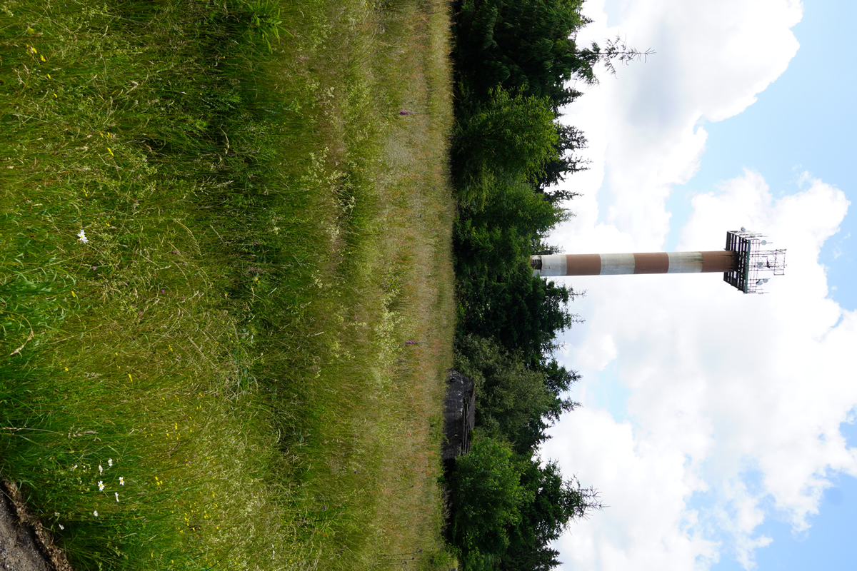 LOS Tower