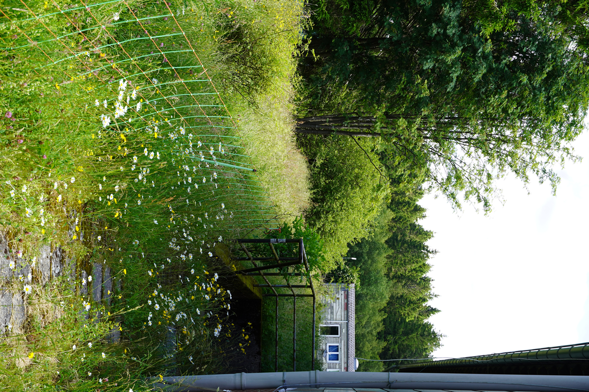 Grillplatz hinter der Unterkunft