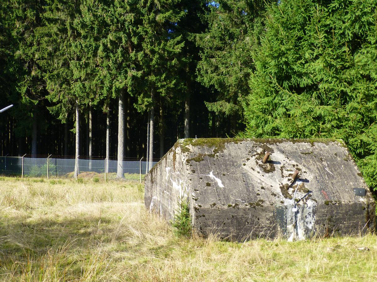 Hinten