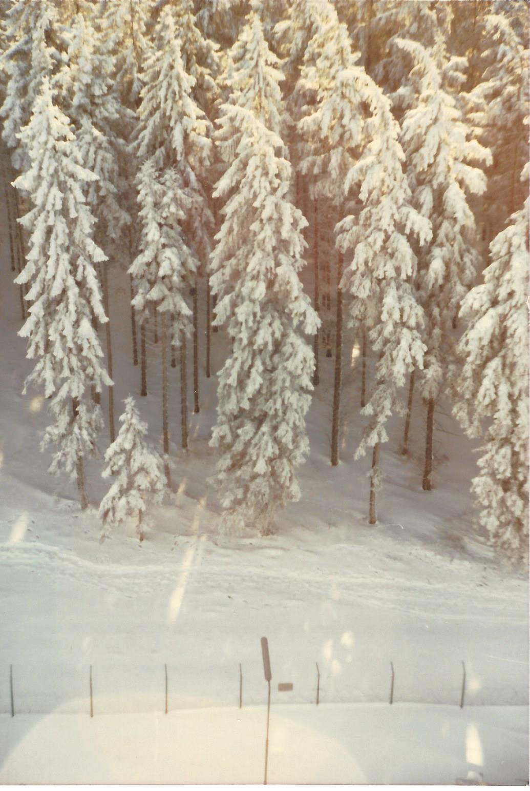 Winter in Lammersdorf